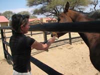 /international/2006Walvisbay/images/Okapuka/thumbnails/Okapuka 025.jpg